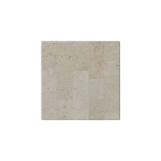 Fossil Stone Plinths, Top View