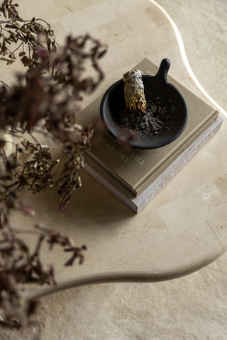 Paradis Coffee Table | Spanish Beige Marble