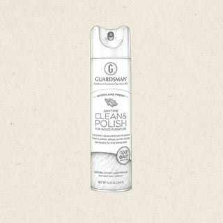 Anytime Clean & Polish Aerosol for Wood
