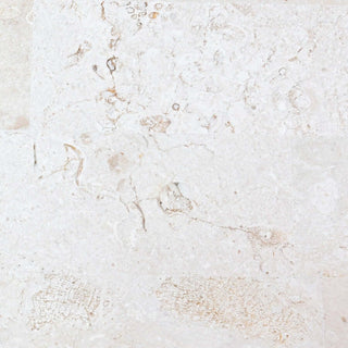 Stone Swatch - Natural White Stone