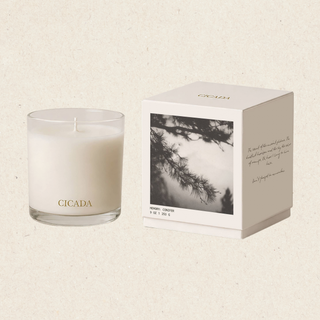 CONIFER Medium Candle
