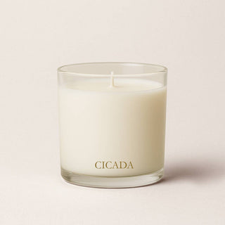 CONIFER Medium Candle