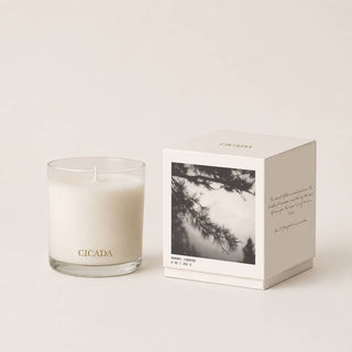 CONIFER Medium Candle
