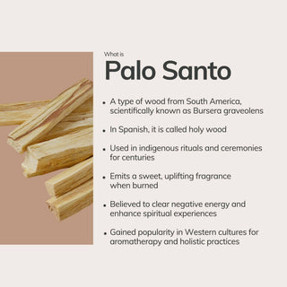 Palo Santo Hand Rolled Incense Stick