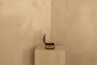 No. 1 Moroccan Camel Bone & Brass Jewelry Box