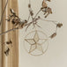 Capiz Star Ornament with Ring