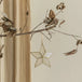 Capiz Star Ornament Without Ring