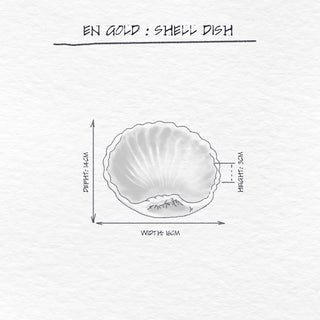 Shell Dish dimensions