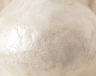 white shell round vase close up